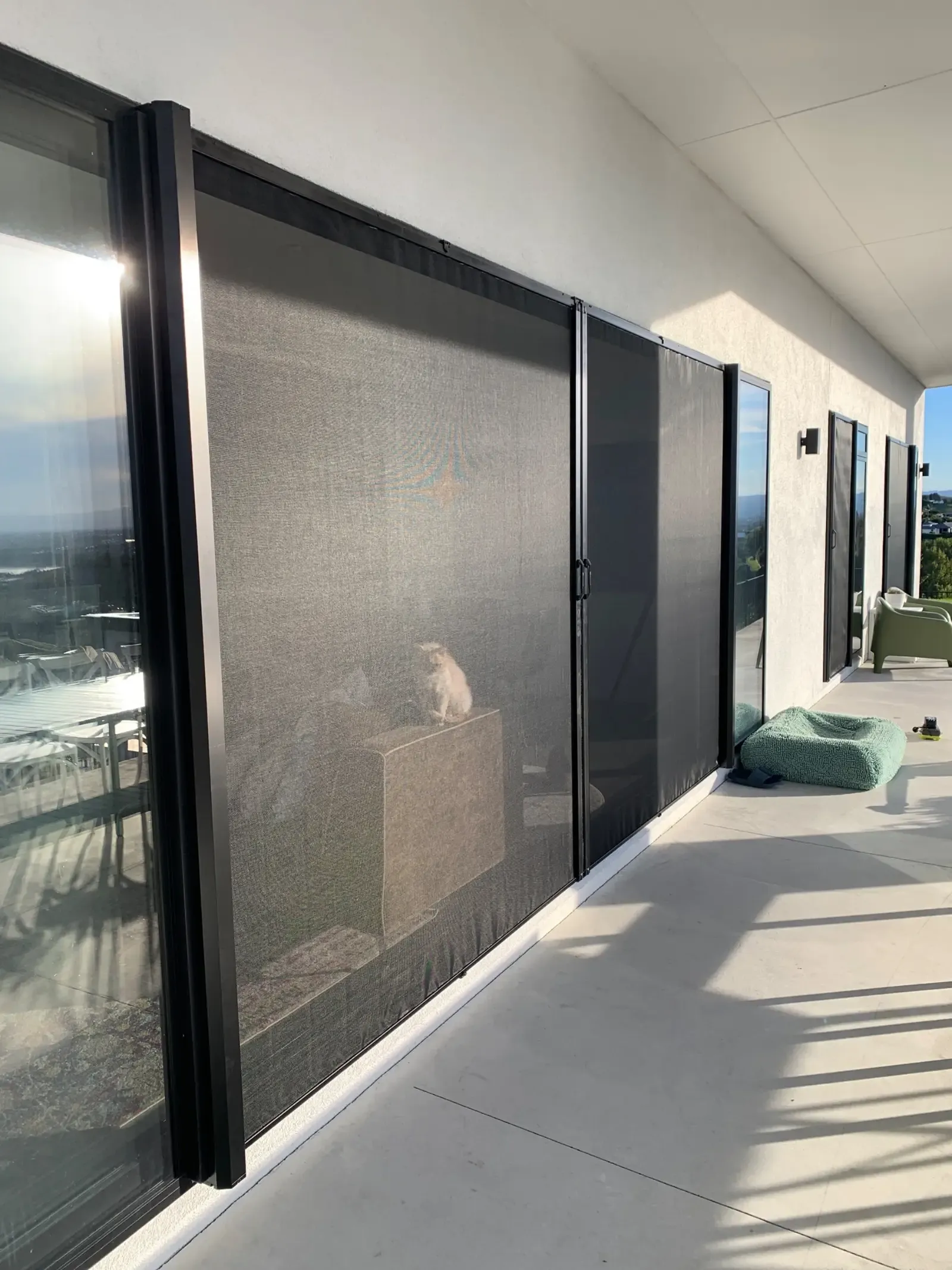 A white cat sits on a pedestal behind a black retractable wall screen on a covered terrace