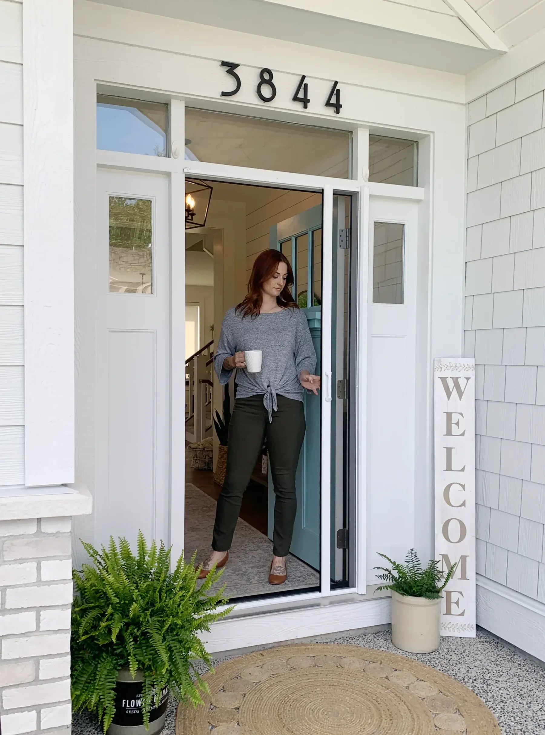 Front & back doors - Phantom retractable door screen