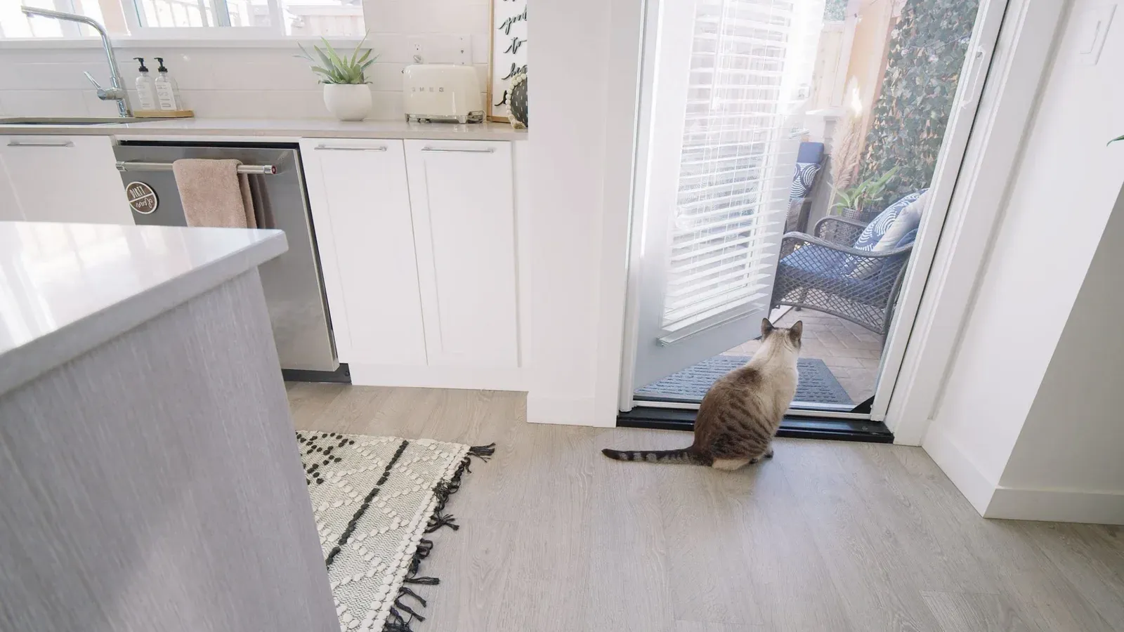 A cat sitting on the floor of a white kitchen looking out through a retractable screen on an open patio door