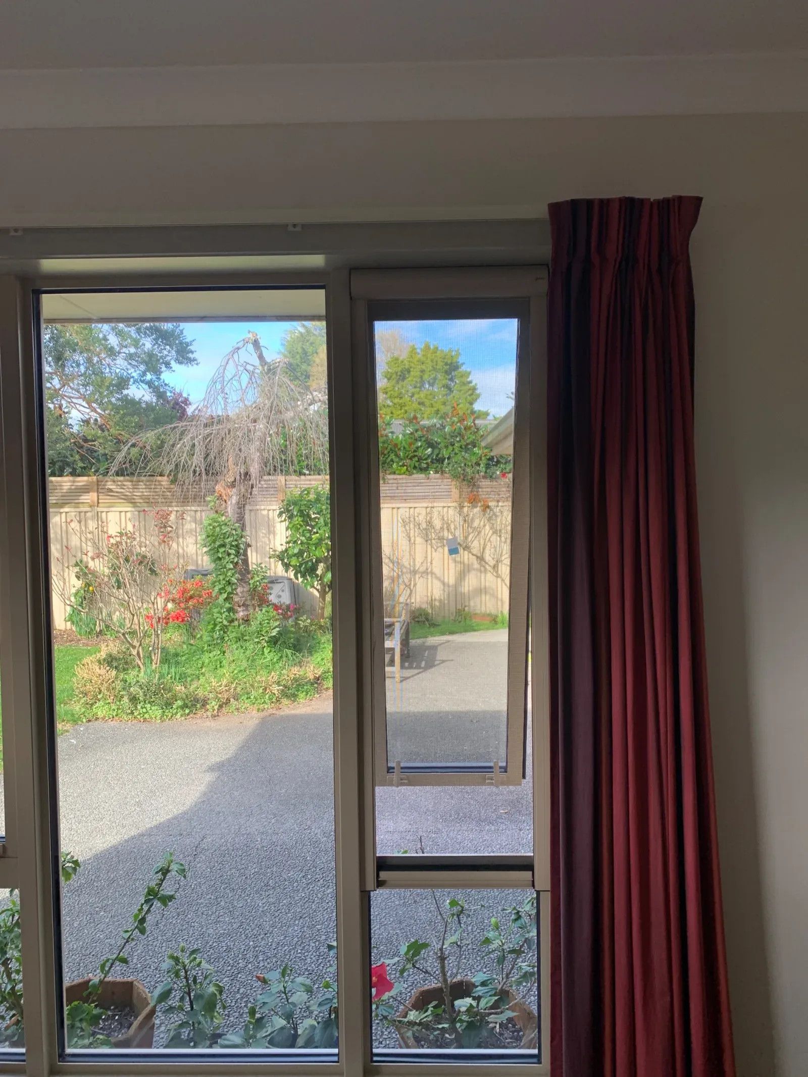 A retractable insect screen across an open awning window, looking onto a garden of flowering shrubs and a timber fence