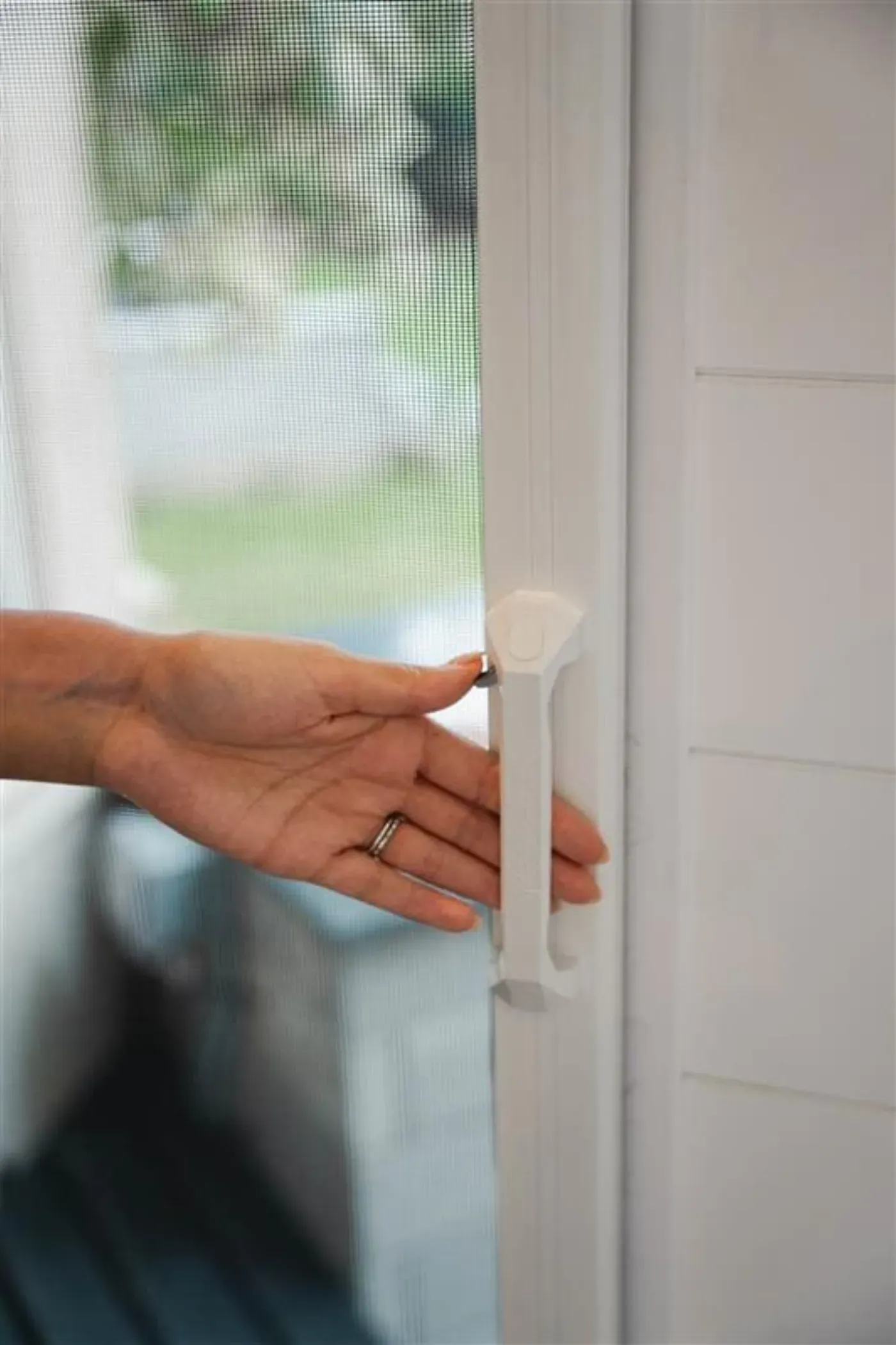 A retractable insect screen on a single door a pet can use