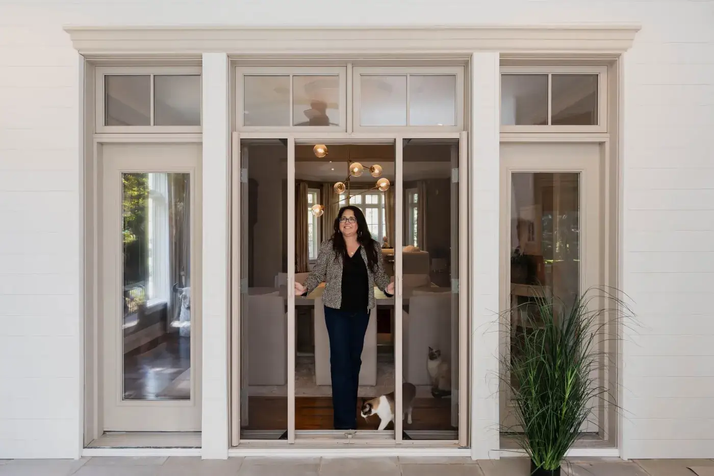 Cats at a doorway fitted with retractable insect screens