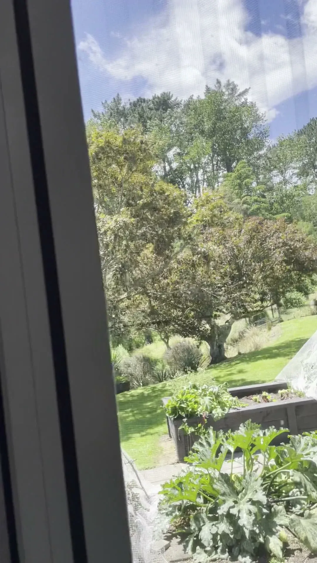 View of a country garden through the fine mesh of a Brio pleated screen